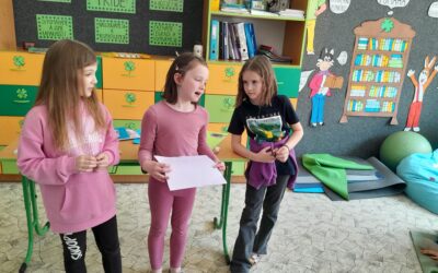 Projekt druhaček o mineralogii