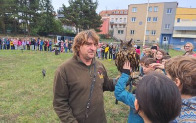 Ukázka létajících dravců