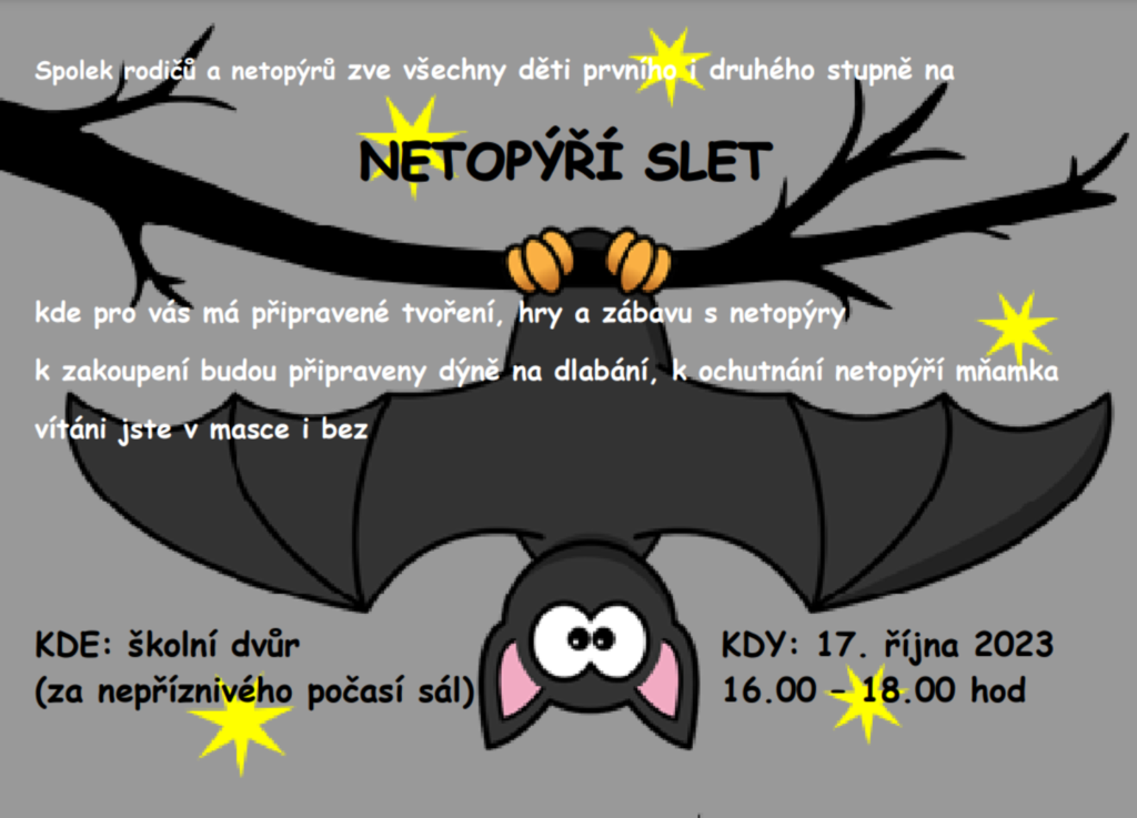 NETOPÝŘÍ SLET (1)