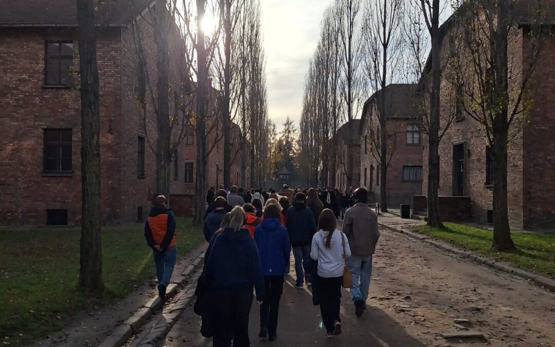 Projektové dny u deváťáků