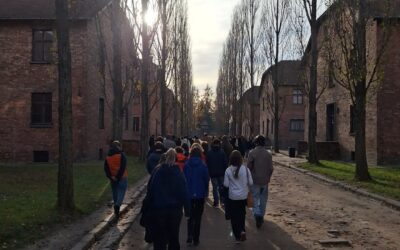 Projektové dny u deváťáků