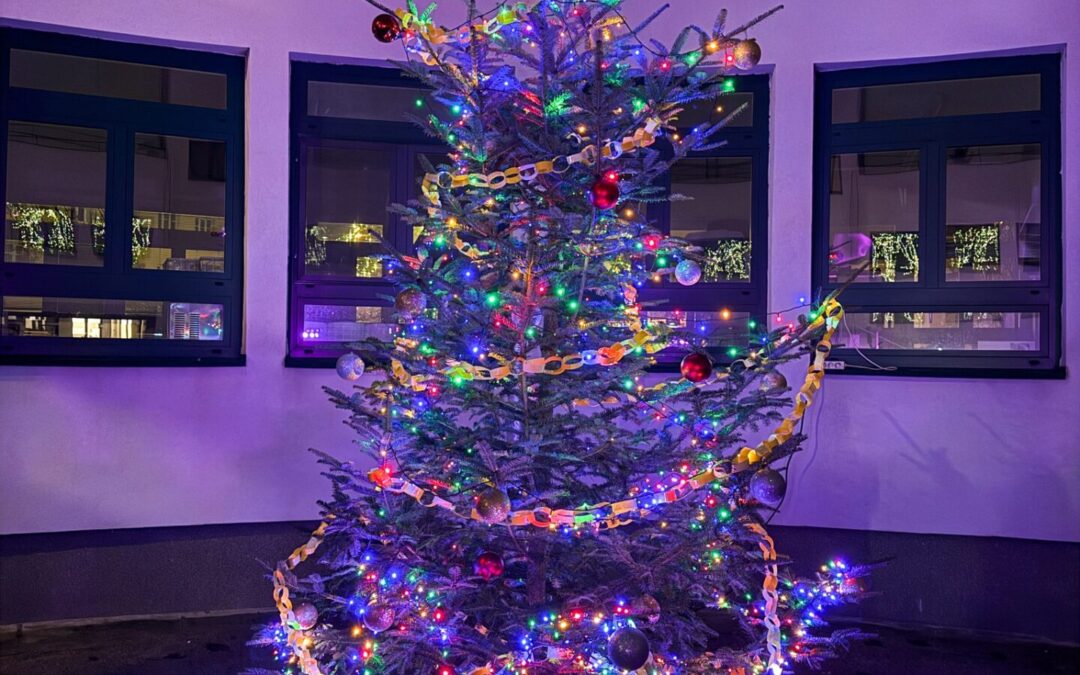 Vánoční strom už svítí!