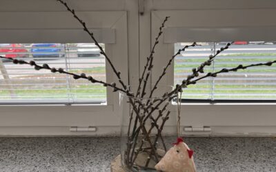 Březen ve školní jídelně